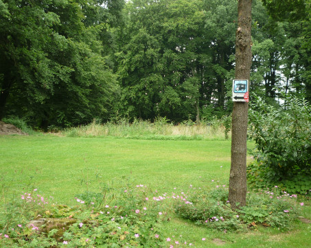 00_Lotte_20010.jpg