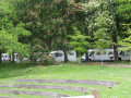 Nantes_20110_1.jpg