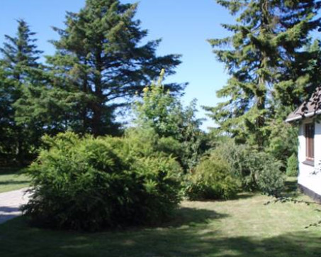 Fjerritslev_20291_2.PNG