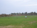 DSC_0215.JPG