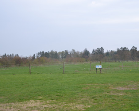 DSC_0215.JPG