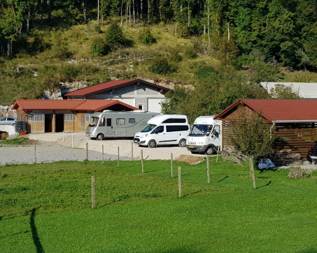 Senoee_25313_1.jpg