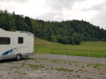 Senoee_25313_5.jpg