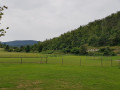 Senoee_25313_7.jpg