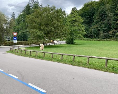 Bled_13374_8