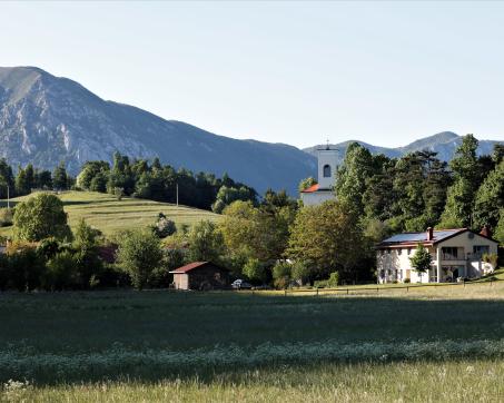 Senozece_25313