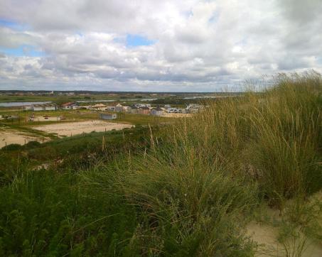 Vagos_18357_6