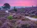 Haarle_28244_6