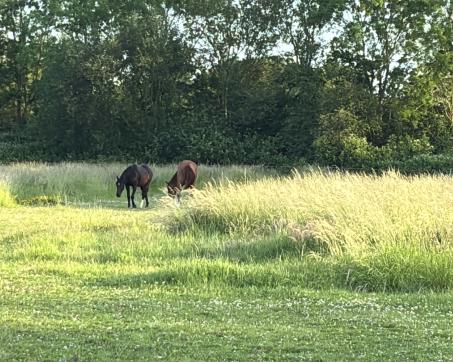 Yerseke_25098_5