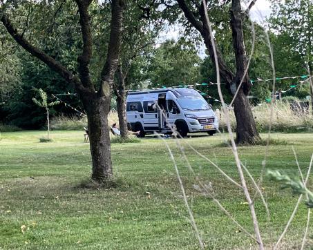 00_Elst_24660