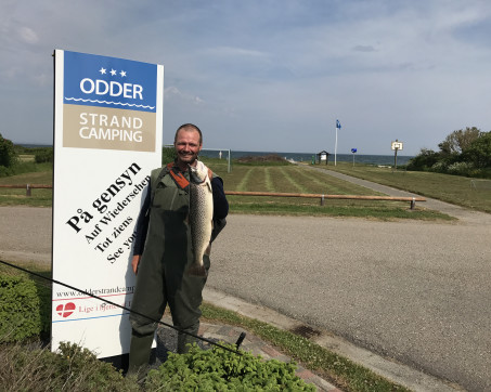 Billede 06-06-2017 16.49.42.jpg